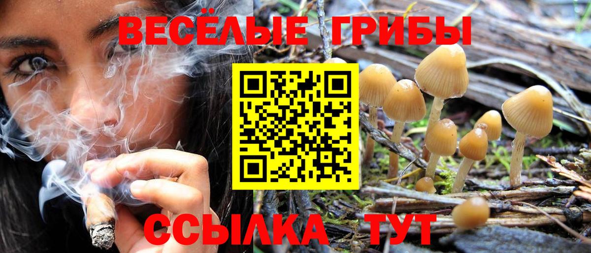 Псилоцибиновые грибы Cubensis Топки